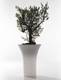 Floris & Loris Accessory from Sintesi designed by Adriano Tolomei.