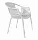Tatami 306 Chairs from Pedrali designed by Dondoli and Pocci.