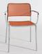 Audrey Chairs from Kartell designed by Piero Lissoni.