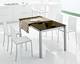 Trama Chairs from Calligaris.