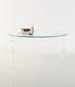 Blow Dining Tables from Miniforms.