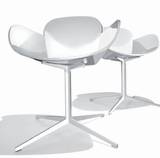 Coccola Chairs by Parri