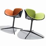 Coccola Leather Chairs by Parri