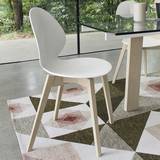 Basil (Wood Legs) Chairs by Calligaris