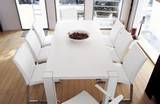 Tulip Chairs by Tonon