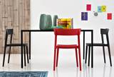 Skin Chairs by Calligaris