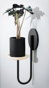 Cigales Accessory by Miniforms