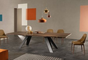 Celtis Dining Table by Tonin Casa