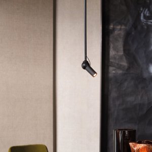 Bird Ceiling Lamp Lighting by KDLN