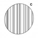 Ø79 x 1.2d inches