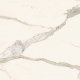 Top Marble Glass Calacatta MG05