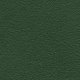 Shell Polypropylene Dark Green PP21