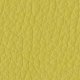 Cushion Secret Faux Leather Category TA E0LB Lime