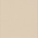 Finish Lacquer Ivory X19