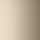 Base Metal Metallic Champagne