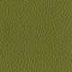 Upholstery P Pelle Leather Pine Green P46