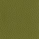 Covering P Pelle Leather Pine Green P46