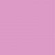 Color Matt Lacquered Colors Pink