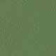 Upholstery Geo Leather Category A Verde Chiaro P3B